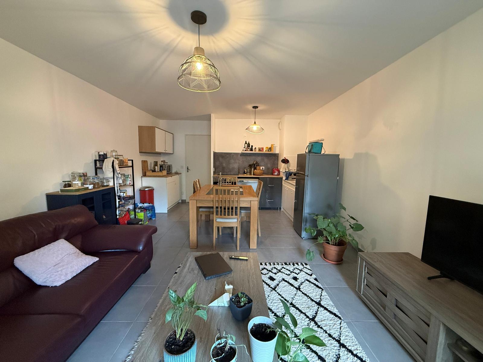 appartement 3 pièces - LYON