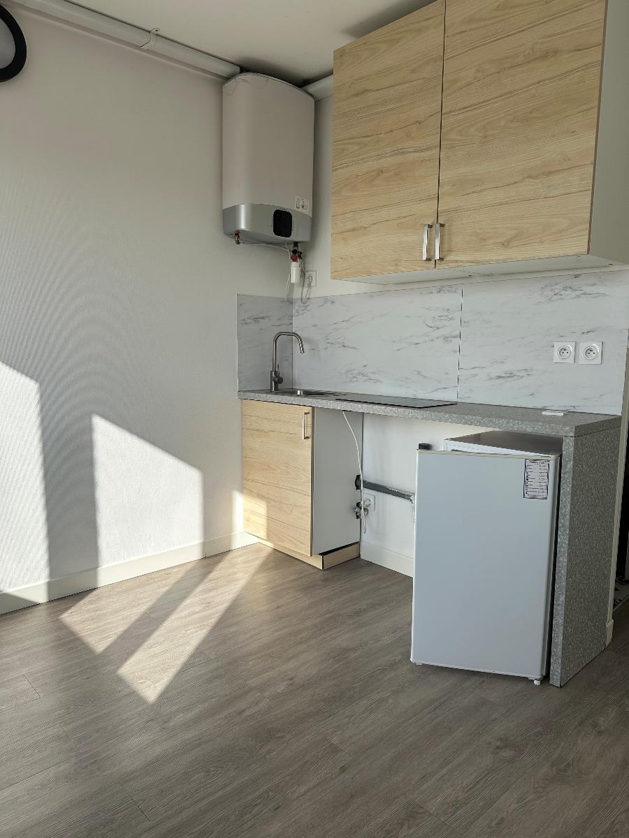 appartement 1 pièces - LYON