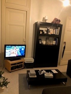 appartement 2 pièces - LYON