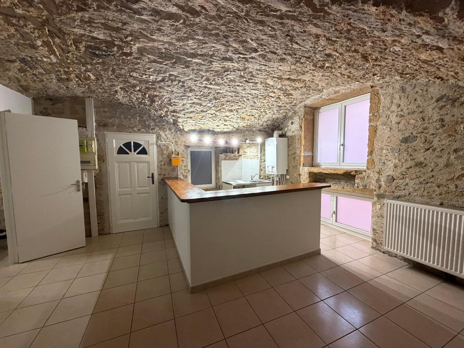 appartement 1 pièces - LYON