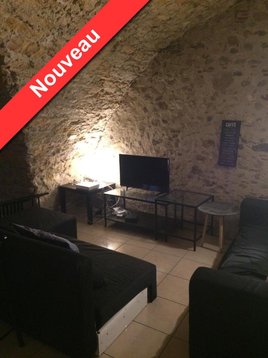 appartement 1 pièces - LYON